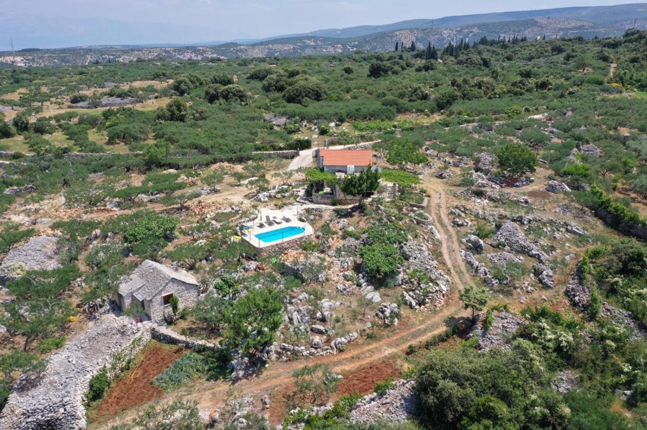 Robinson Crusoe Style House "Maslina" Villa Škrip Dış mekan fotoğraf