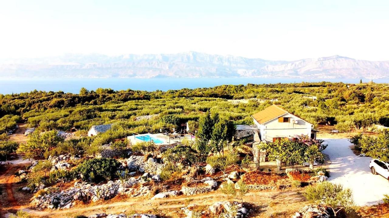 Robinson Crusoe Style House "Maslina" Villa Škrip Dış mekan fotoğraf