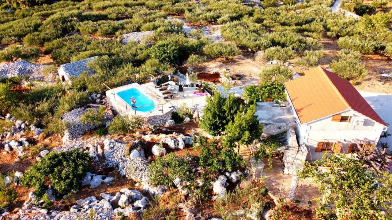 Robinson Crusoe Style House "Maslina" Villa Škrip Dış mekan fotoğraf