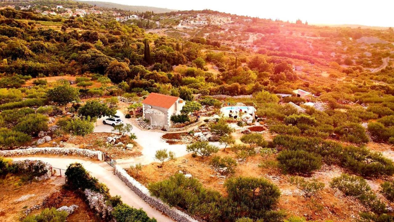 Robinson Crusoe Style House "Maslina" Villa Škrip Dış mekan fotoğraf
