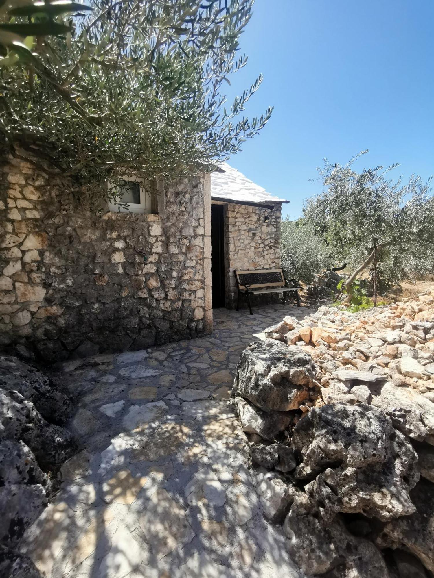 Robinson Crusoe Style House "Maslina" Villa Škrip Dış mekan fotoğraf
