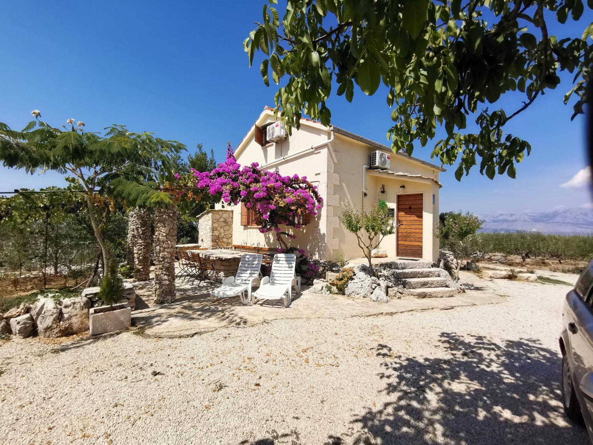 Robinson Crusoe Style House "Maslina" Villa Škrip Dış mekan fotoğraf